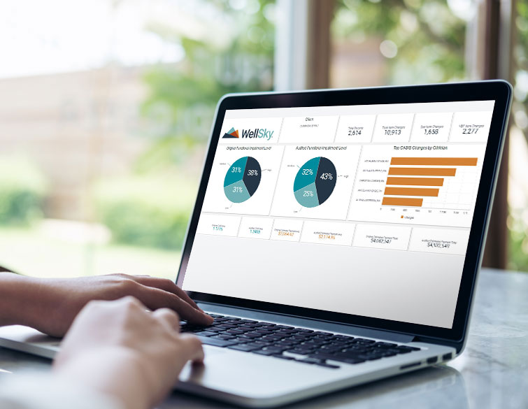 quality assurance report within WellSky’s hospice software