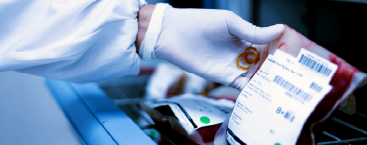 Worker examines blood bag.