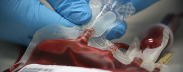 Healthcare worker processes blood bag